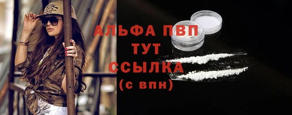 стаф Сосновый Бор