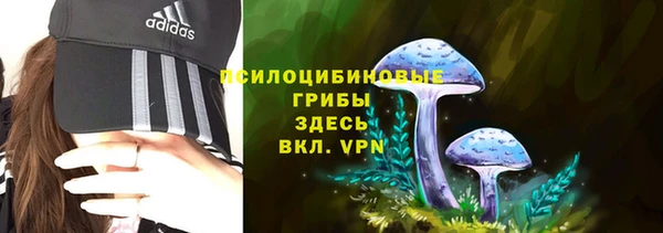 скорость Арсеньев